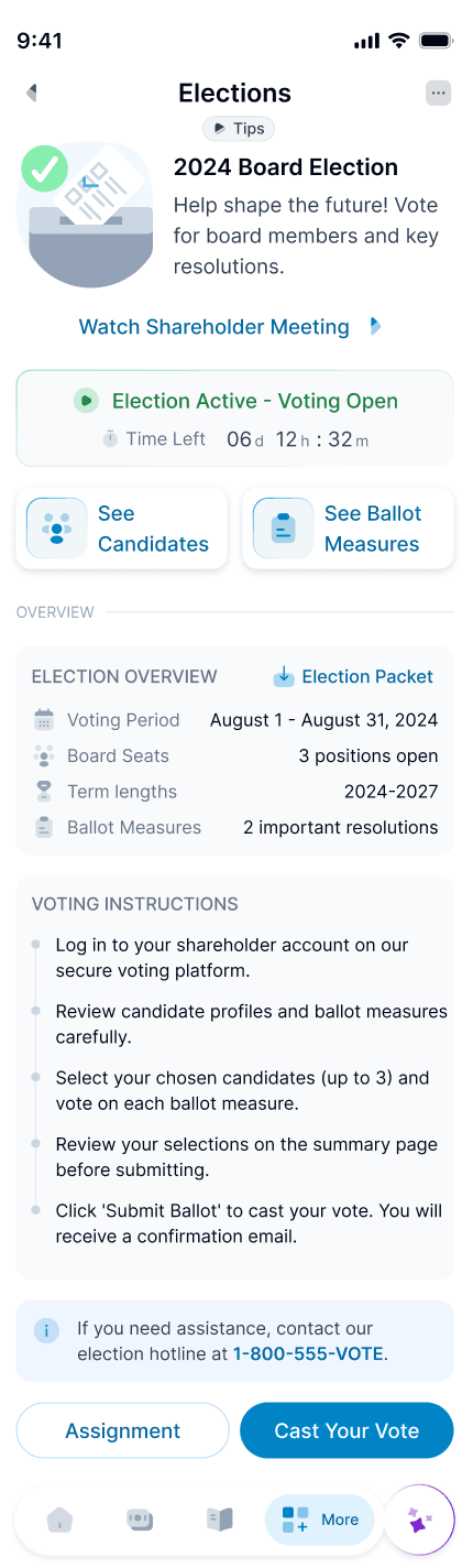 Electronic Voting